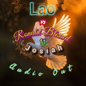 Lumii 20250314 184550382